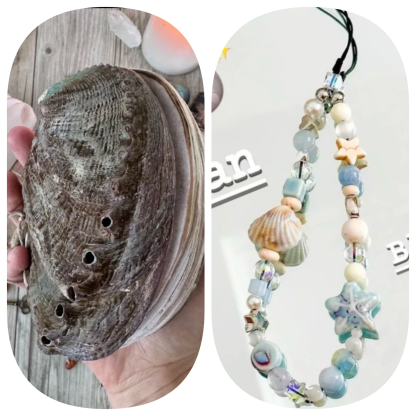 Abalone shell/Lion’s Paw shell/Scallop Shell journal