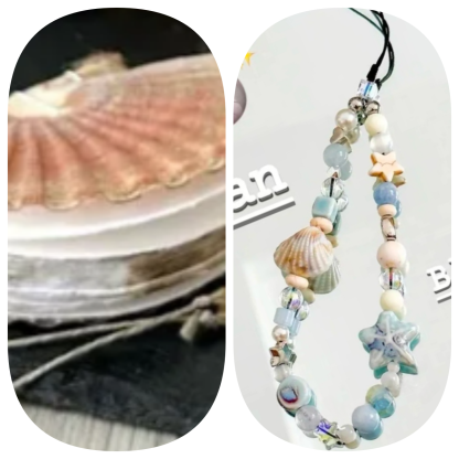 Abalone shell/Lion’s Paw shell/Scallop Shell journal