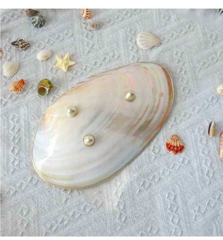 Handcrafted Conch Shell Wine Glass – Coastal Luxury Decor