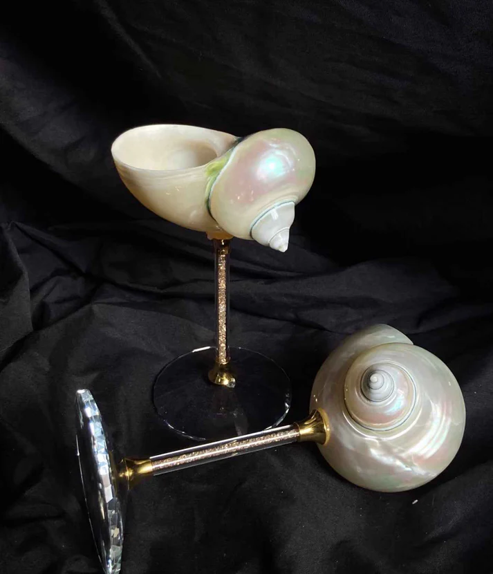 Handcrafted Conch Shell Wine Glass – Coastal Luxury Decor