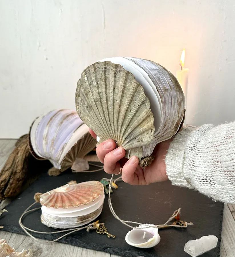 Abalone shell/Lion’s Paw shell/Scallop Shell journal