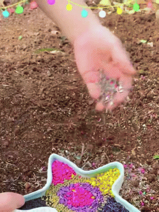 Four-season blooming mixed flower seeds that blossom all year round and never wilt! 