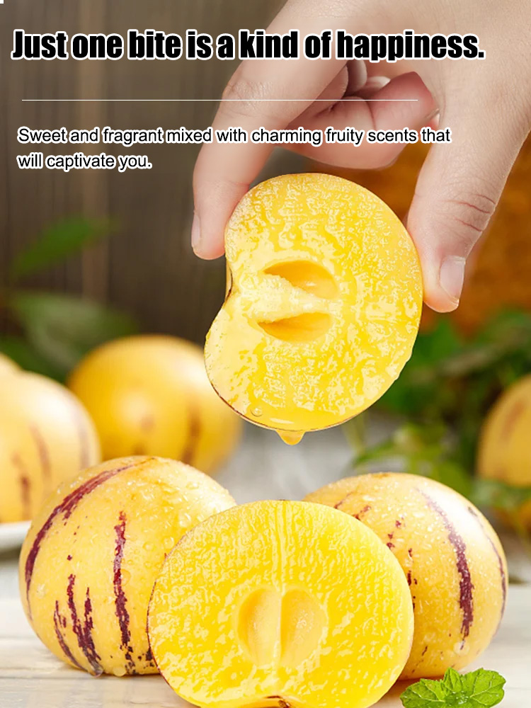 Planting Pepino melons in your balcony or small garden can easily help you achieve fruit freedom! 