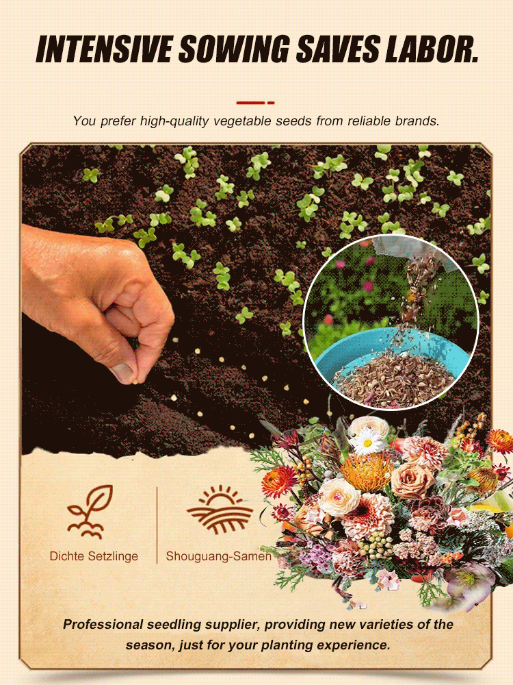 Four-season blooming mixed flower seeds that blossom all year round and never wilt! 