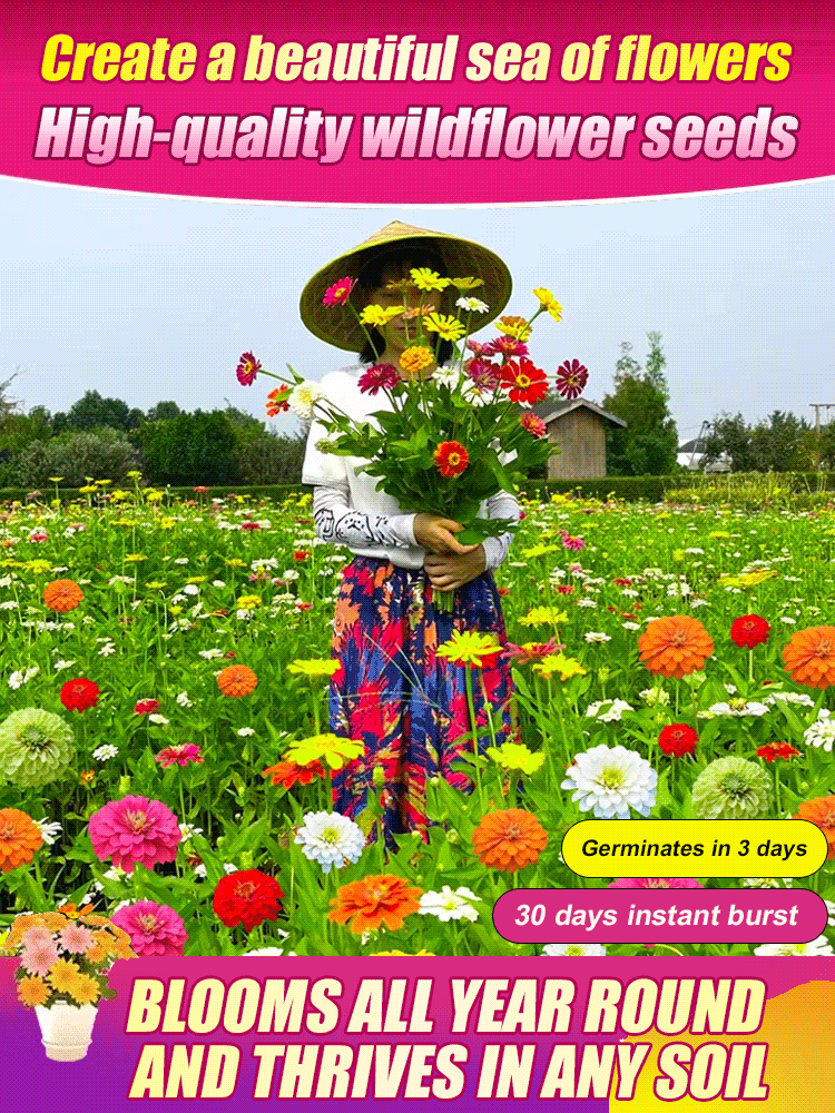 Four-season blooming mixed flower seeds that blossom all year round and never wilt! 