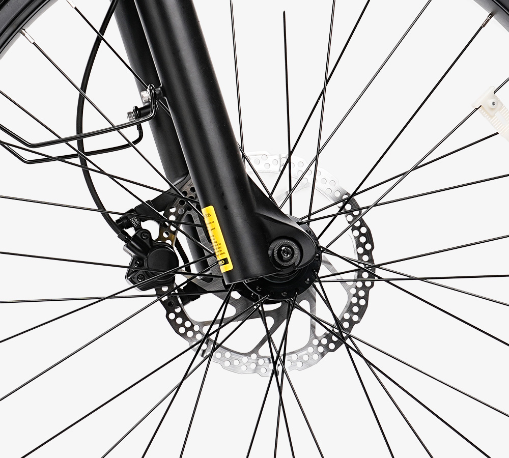 Roma All-Terrain Ebike