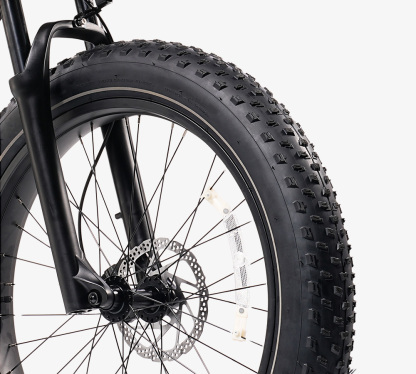 Roma All-Terrain Ebike