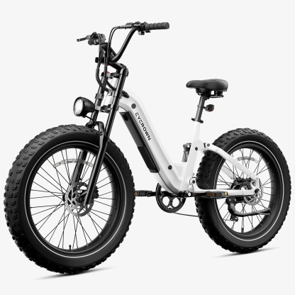 Roma All-Terrain Ebike