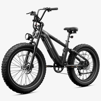 Roma All-Terrain Ebike