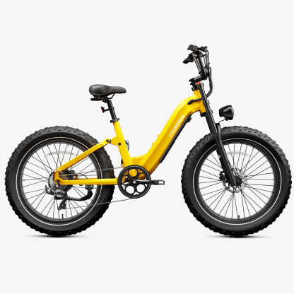 Roma All-Terrain Ebike
