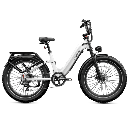 Roma All-Terrain Ebike