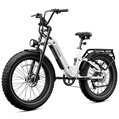 Roma All-Terrain Ebike