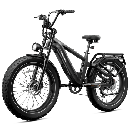 Roma All-Terrain Ebike
