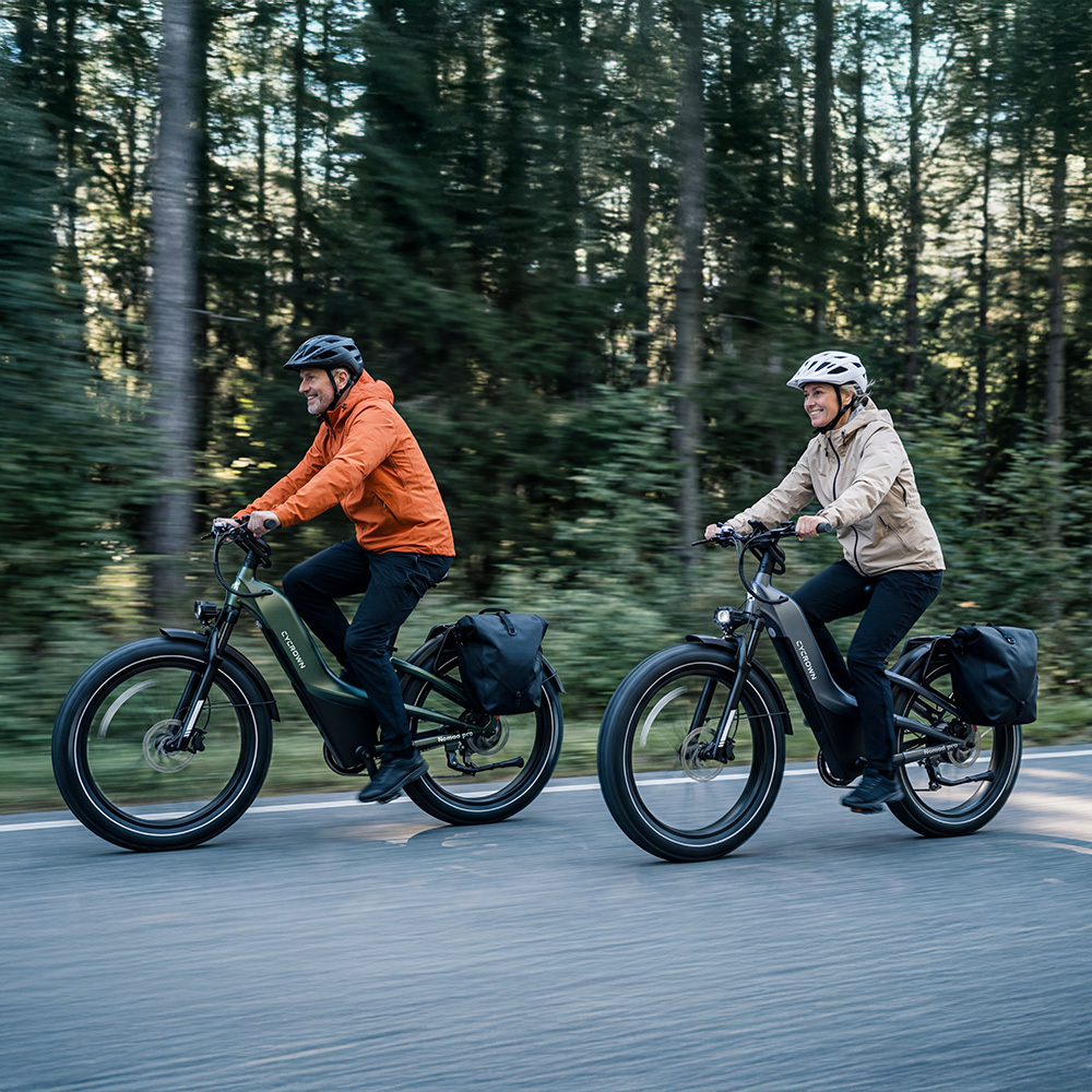 Nomad Pro Fat Tire Ebike