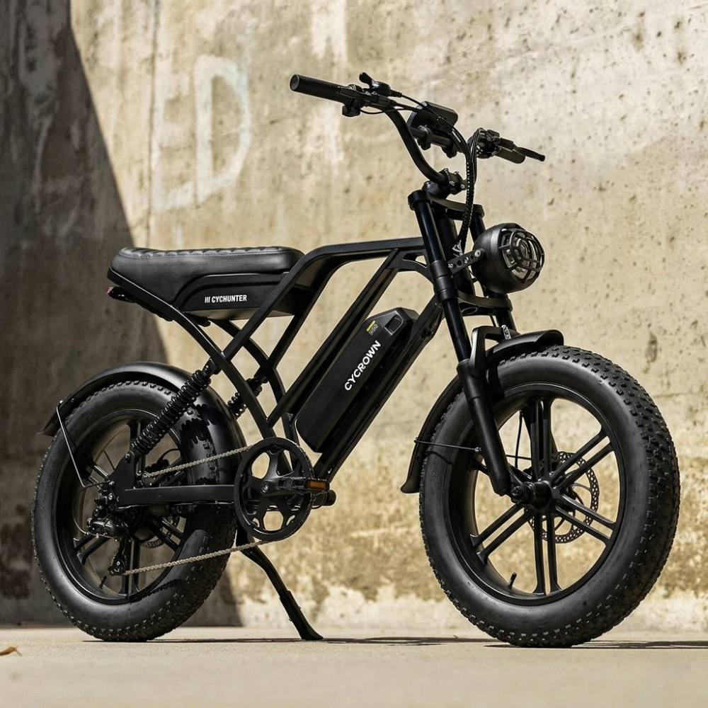 CycHunter Moped Style Ebike