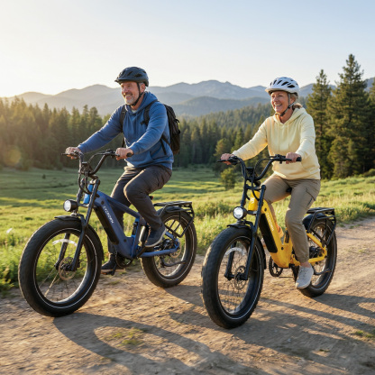 Roma All-Terrain Ebike