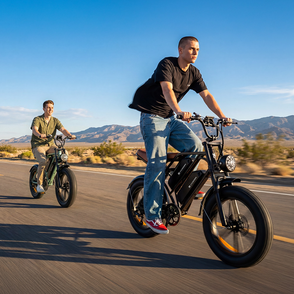 CycHunter Moped Style Ebike