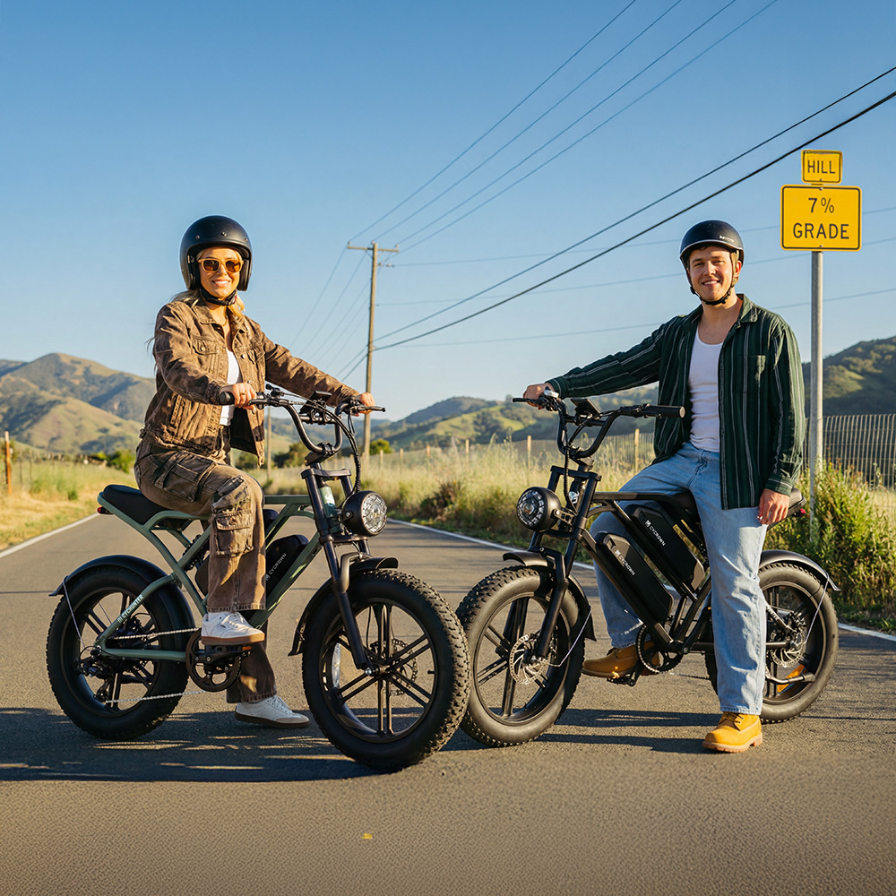 CycHunter Moped Style Ebike