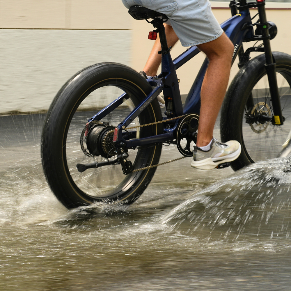 Roma All-Terrain Ebike