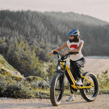 Roma All-Terrain Ebike