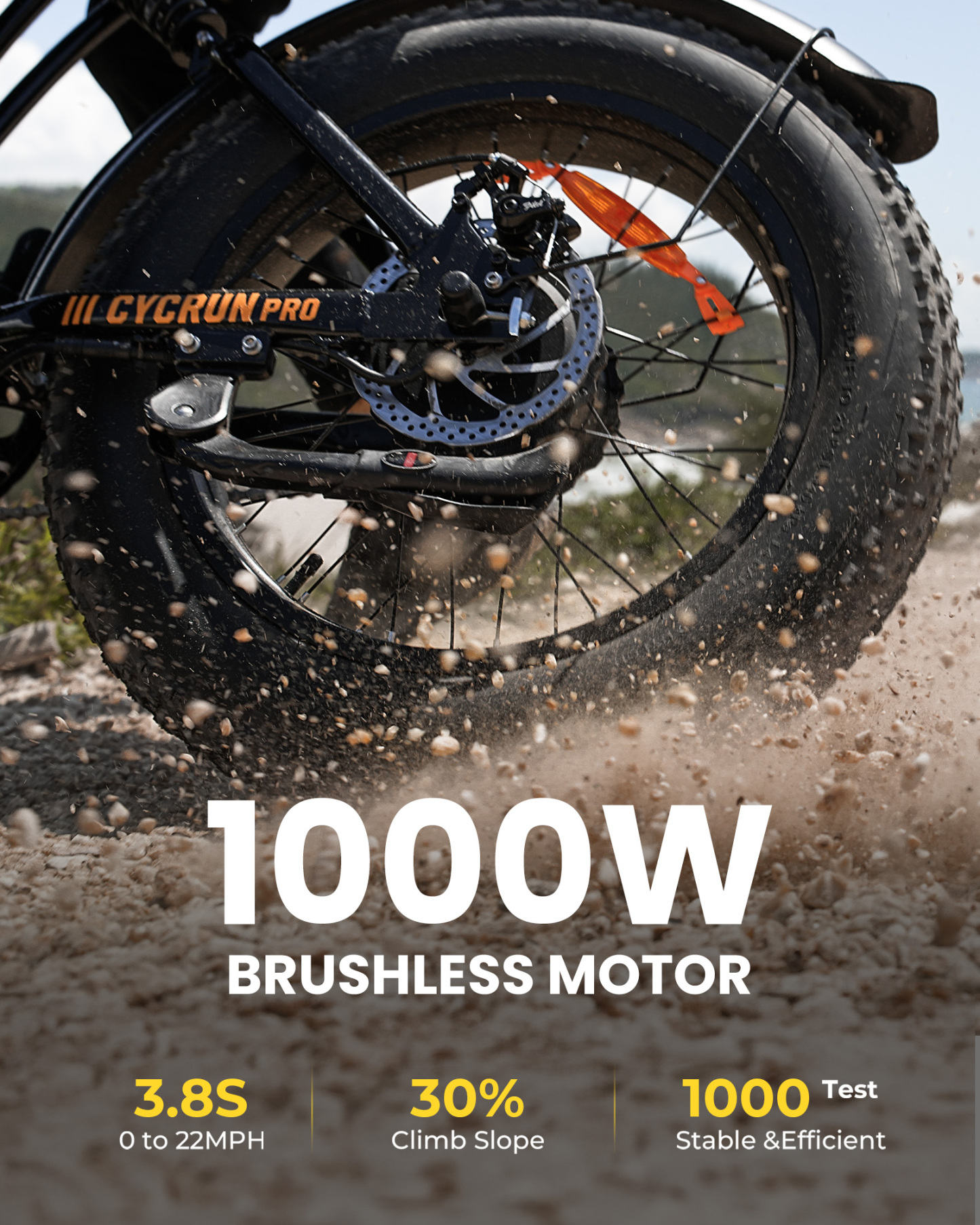 CycRun Pro Off-Road Ebike