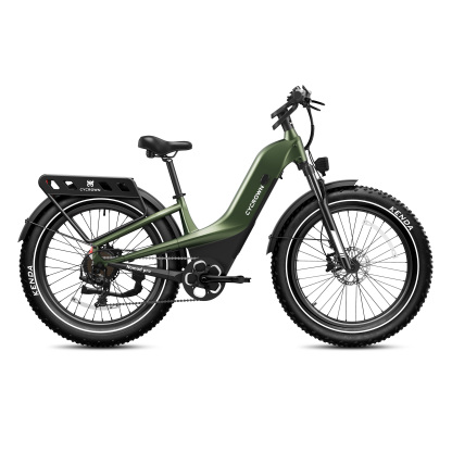 Nomad Pro Fat Tire Ebike