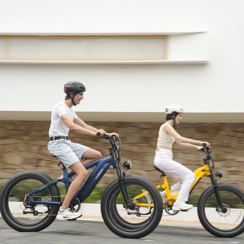 Roma All-Terrain Ebike