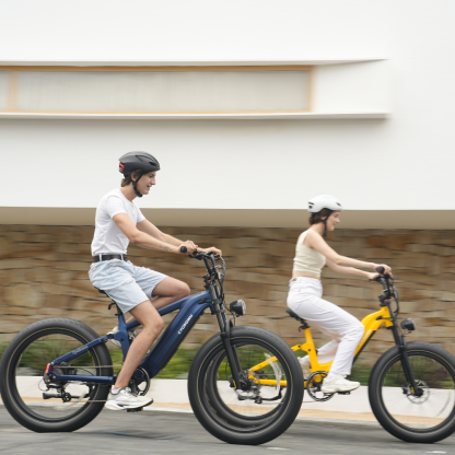 Roma All-Terrain Ebike