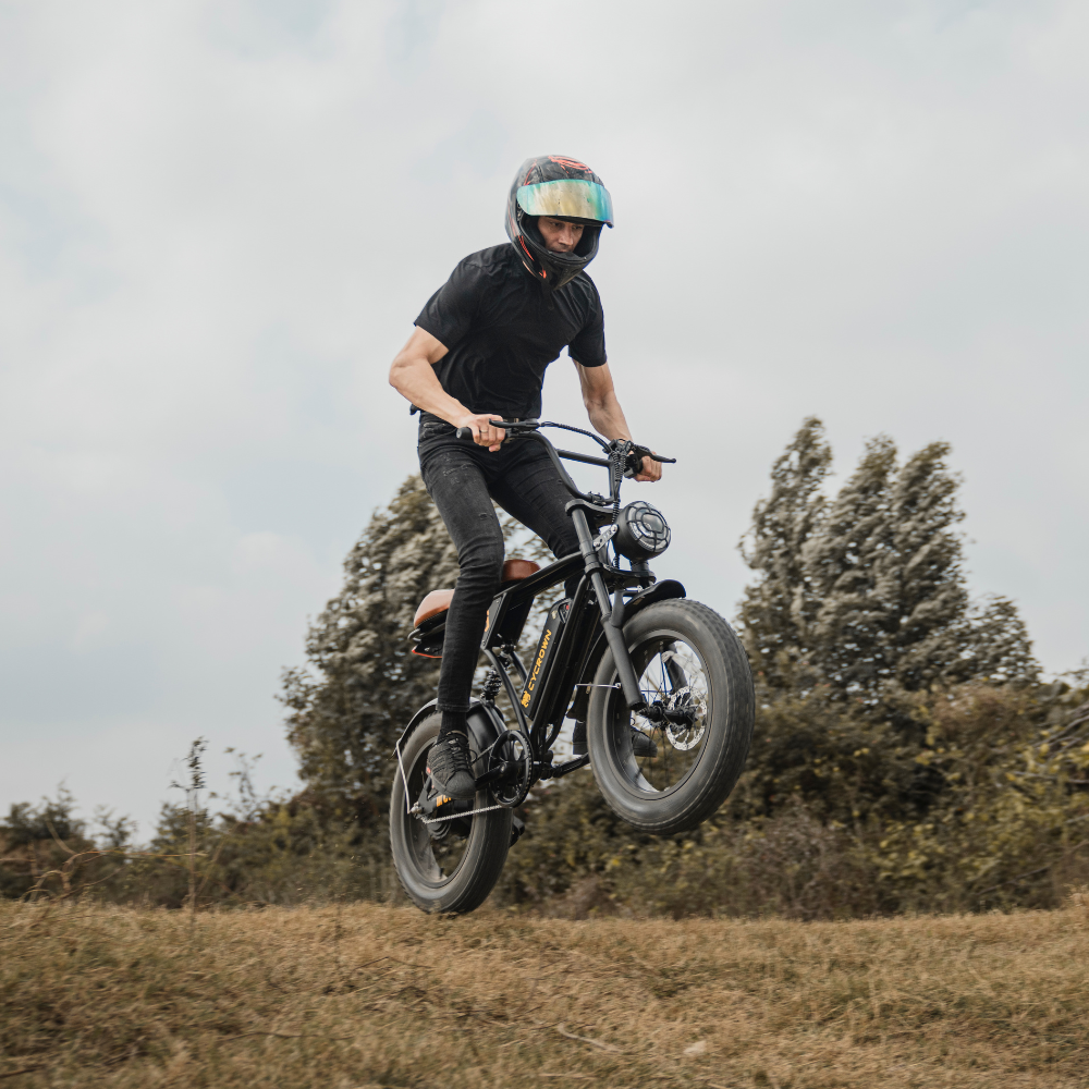 CycRun Off-Road Ebike