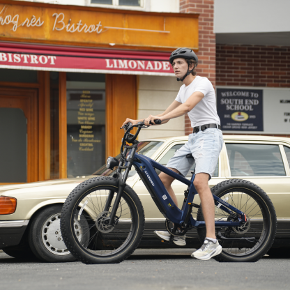 Roma All-Terrain Ebike