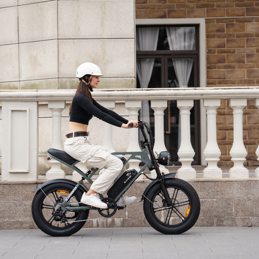 CycHunter Moped Style Ebike