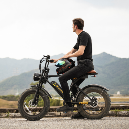 CycRun Off-Road Ebike
