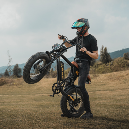 CycRun Off-Road Ebike