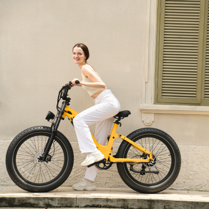 Roma All-Terrain Ebike