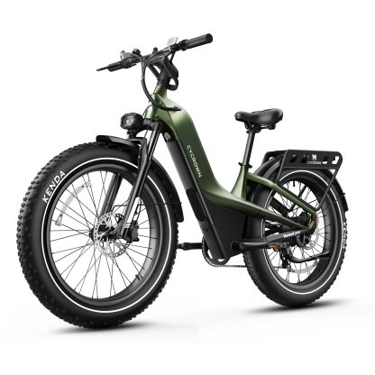Nomad Pro Fat Tire Ebike