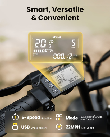 CycRun Pro Off-Road Ebike