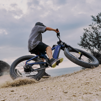 Roma All-Terrain Ebike