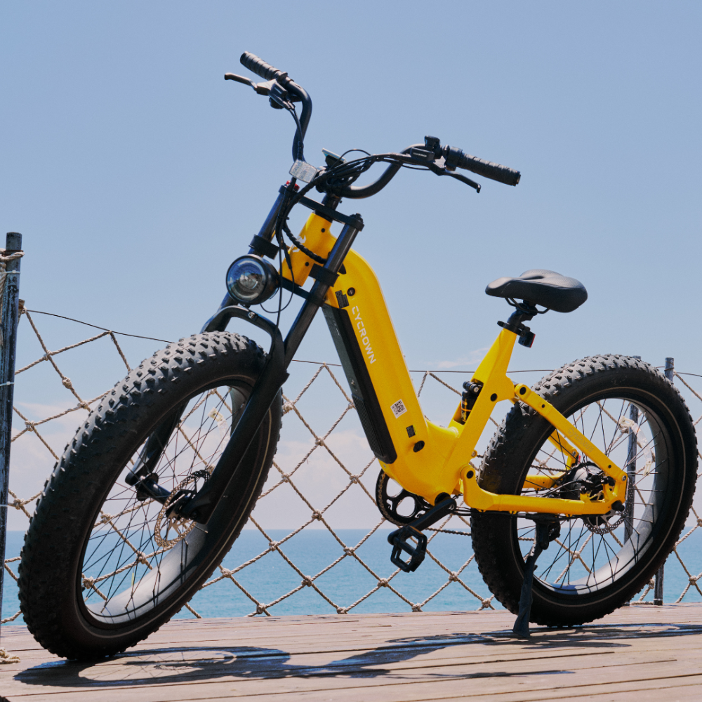 Roma All-Terrain Ebike