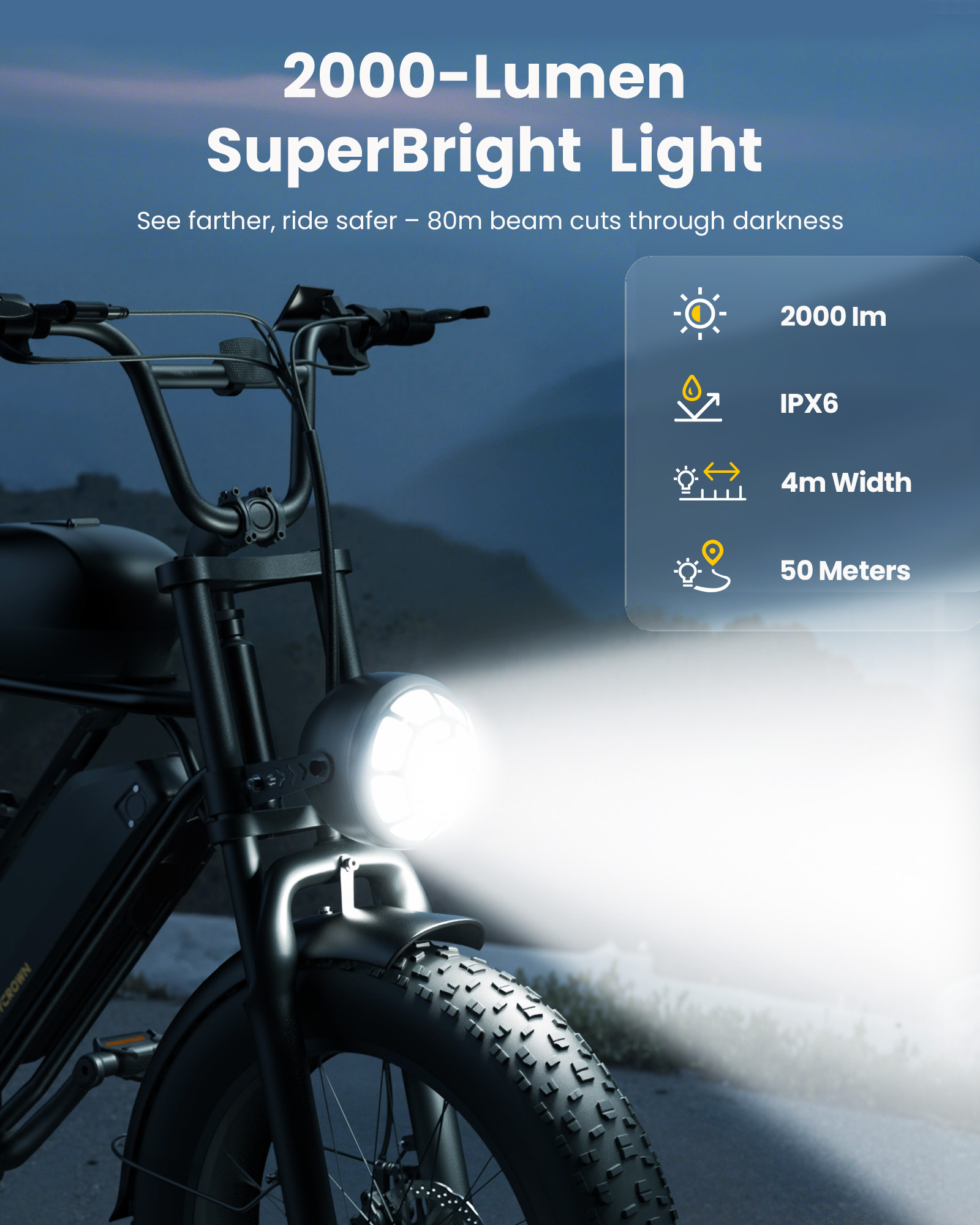 CycRun Pro Off-Road Ebike