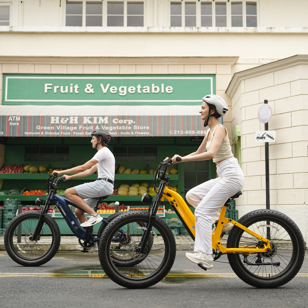 Roma All-Terrain Ebike