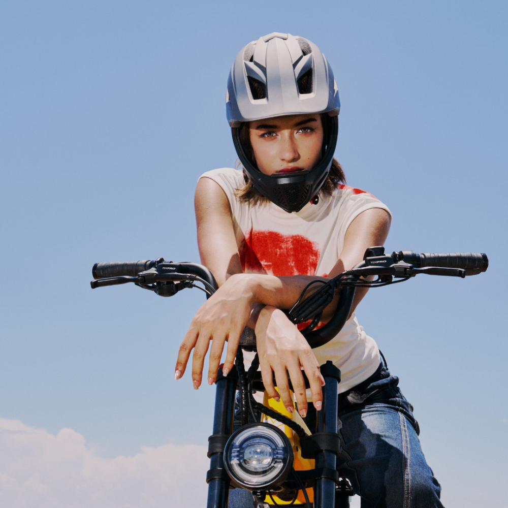 Roma All-Terrain Ebike