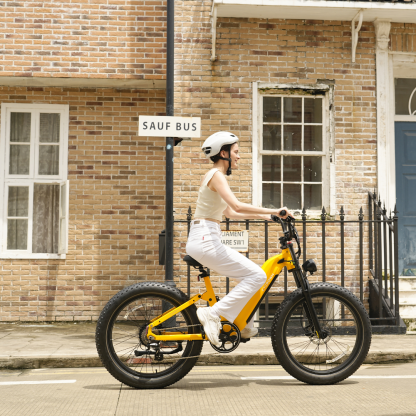 Roma All-Terrain Ebike