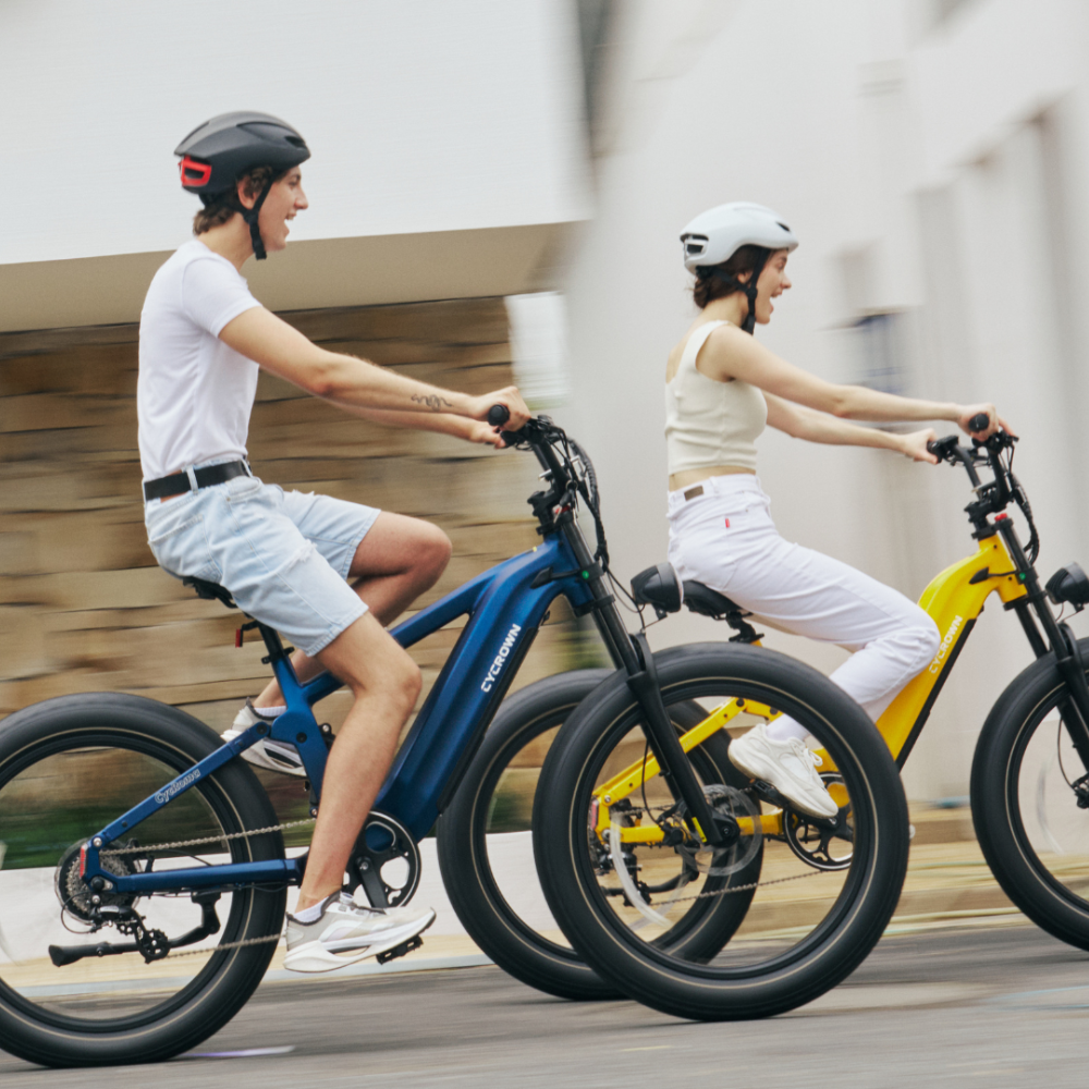 Roma All-Terrain Ebike