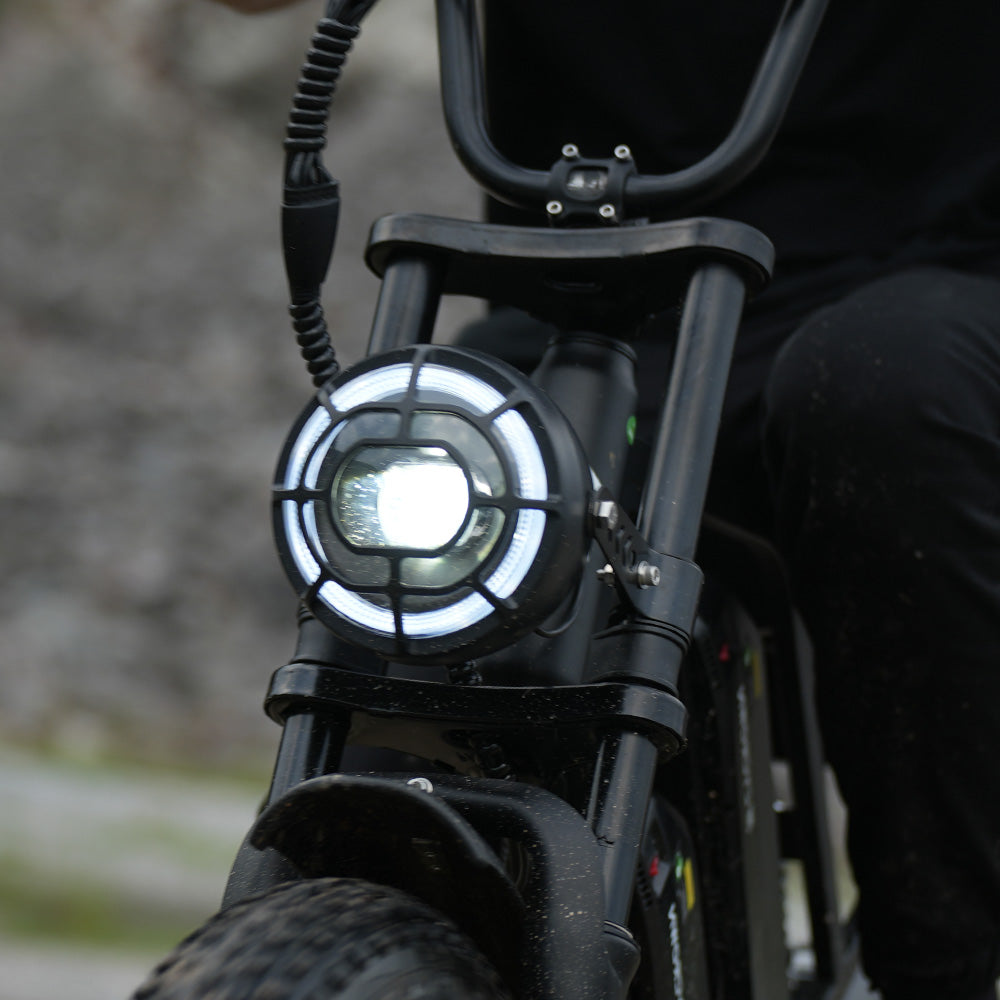 CycHunter Moped Style Ebike