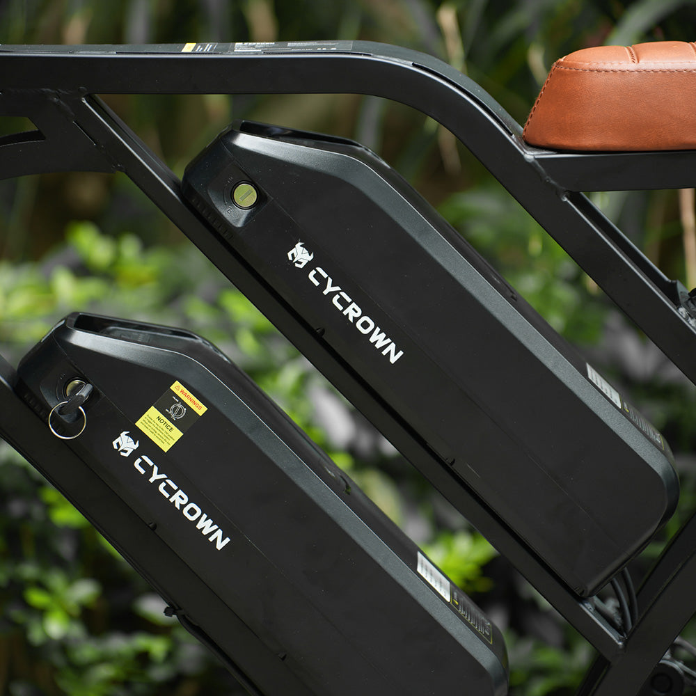 CycHunter Moped Style Ebike