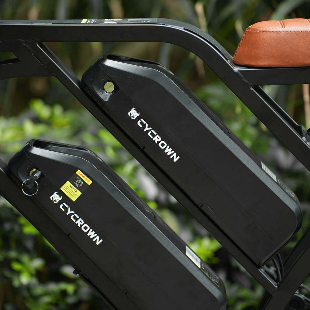 CycHunter Moped Style Ebike