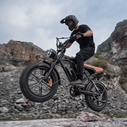 CycHunter Moped Style Ebike