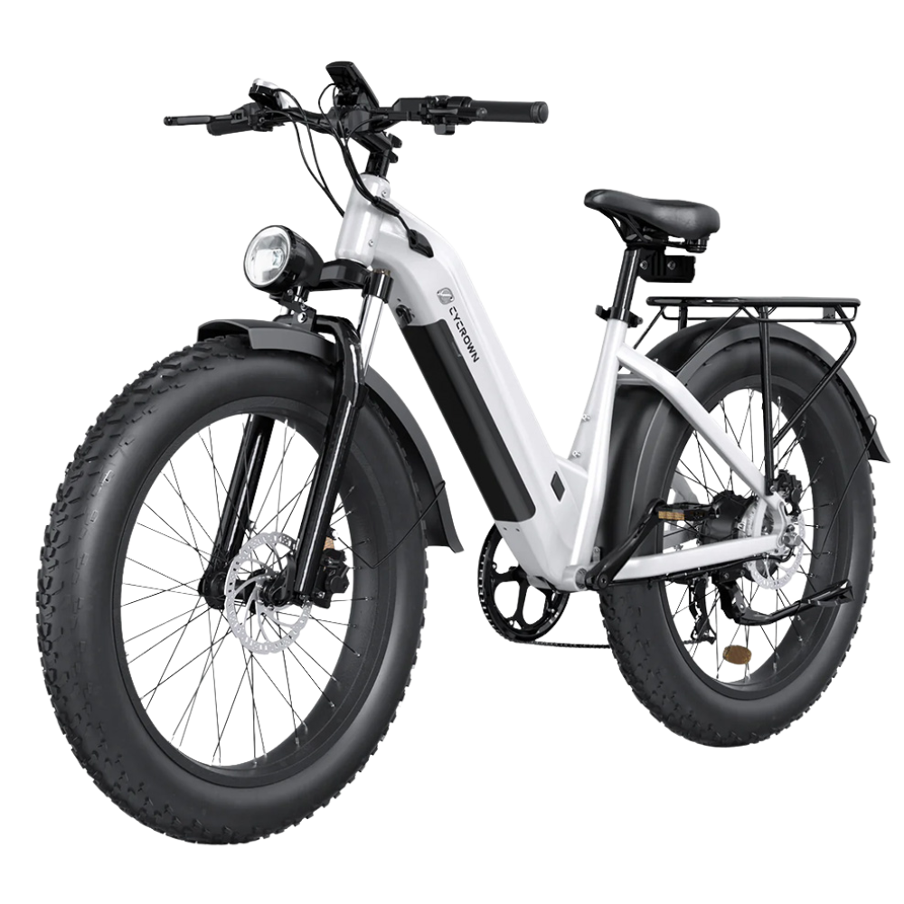 Fat Tire Ebike