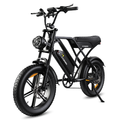 CycHunter Moped Style Ebike