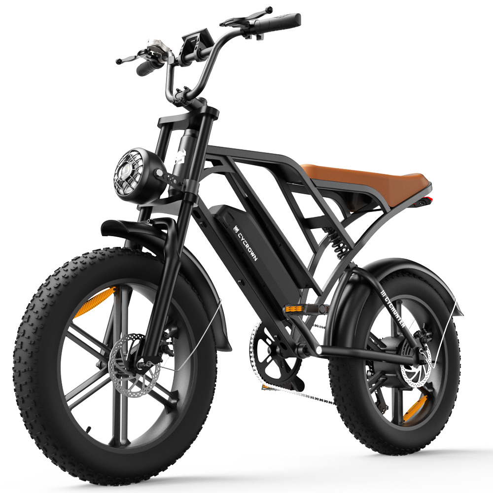 CycHunter Moped Style Ebike